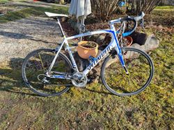 Prodám Specialized Tarmac comp
