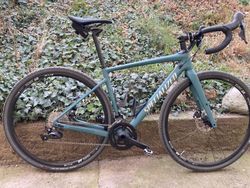 Specialized Diverge Sport Carbon 2020 (M-54)
