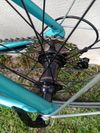 Focus Izalco race 