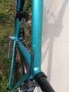 Focus Izalco race 