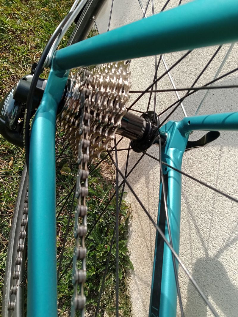 Focus Izalco race 