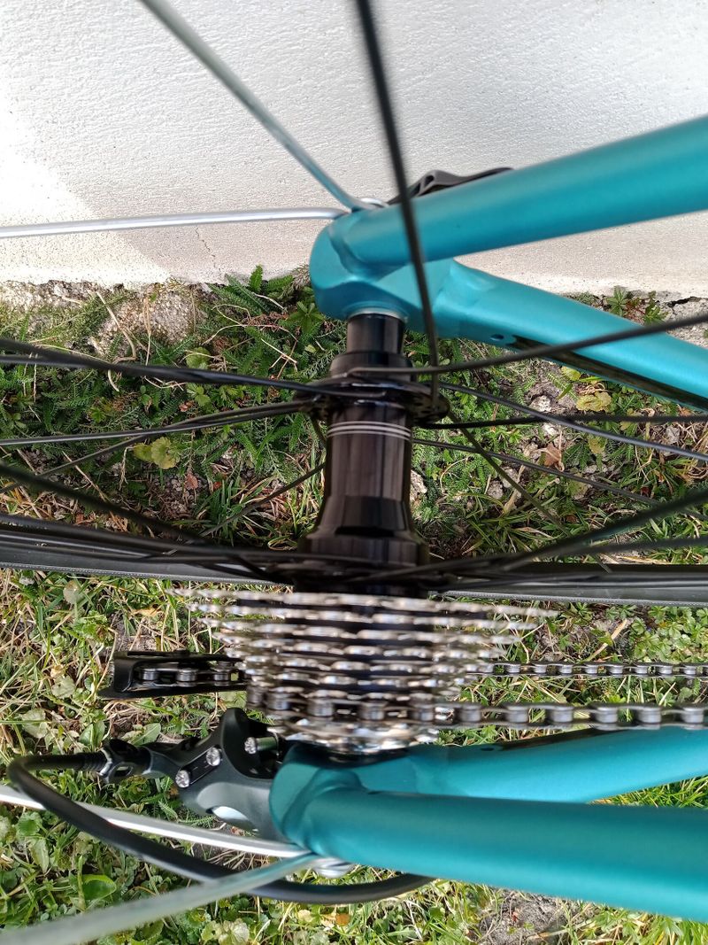Focus Izalco race 