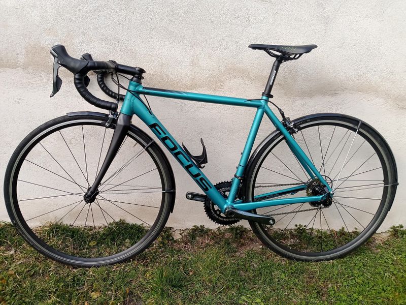 Focus Izalco race 