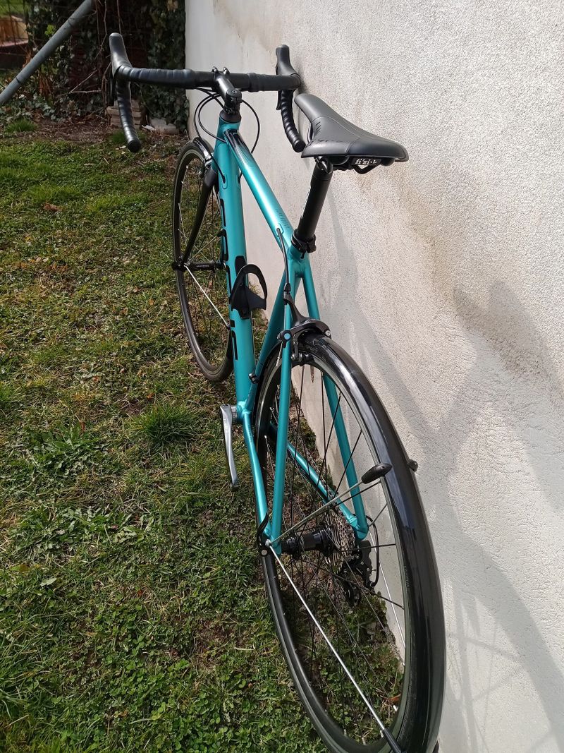 Focus Izalco race 