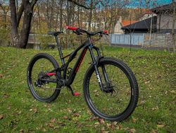 Specialized Stumpjumper Comp Carbon 29 (M)