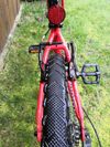 AUTHOR Cosmic 20 Red