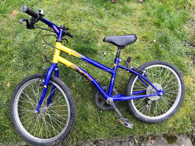 Dětské kolo Piranha Rider