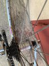 Bianchi XC 251