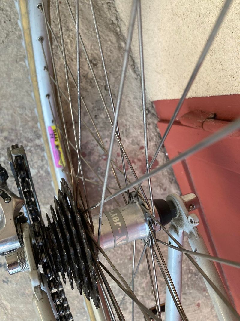Bianchi XC 251