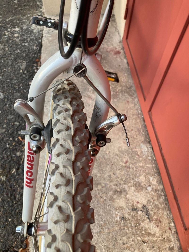 Bianchi XC 251
