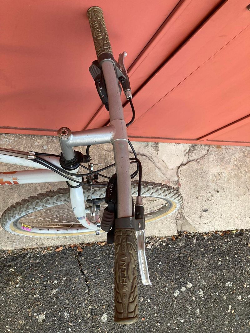 Bianchi XC 251