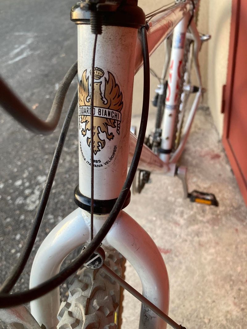 Bianchi XC 251