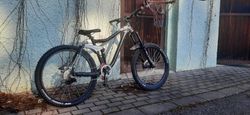 kona stinky 2013