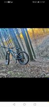 Dartmoor Hornet Pro 2018 (27,5+ 2,8")