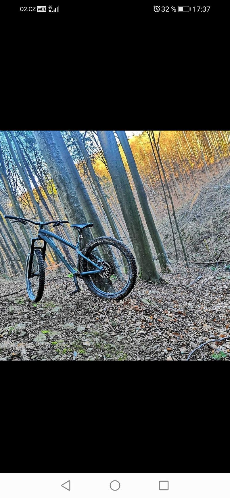 Dartmoor Hornet Pro 2018 (27,5+ 2,8")