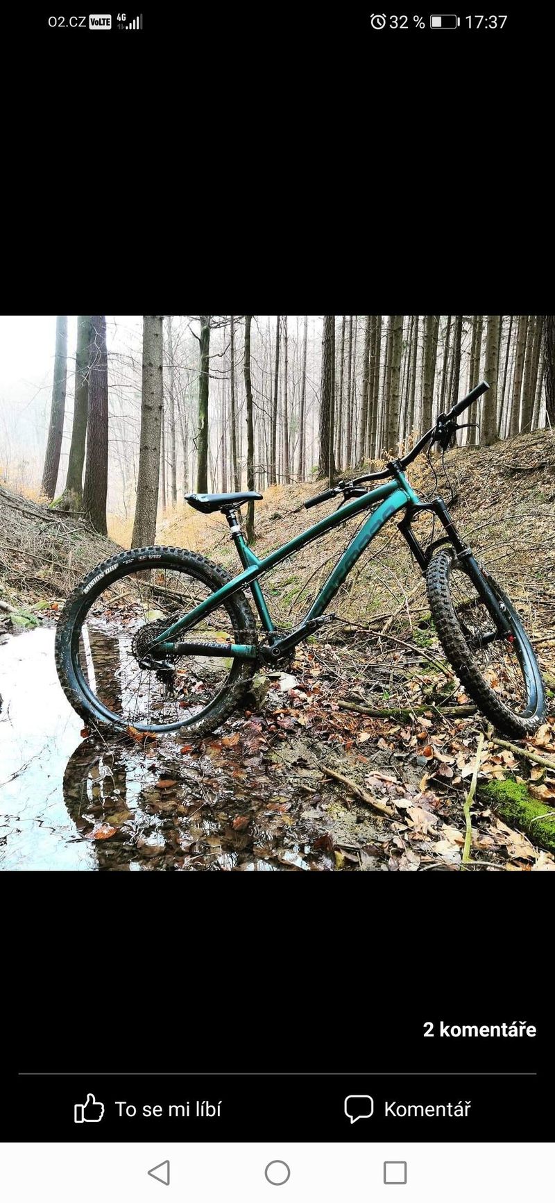 Dartmoor Hornet Pro 2018 (27,5+ 2,8")