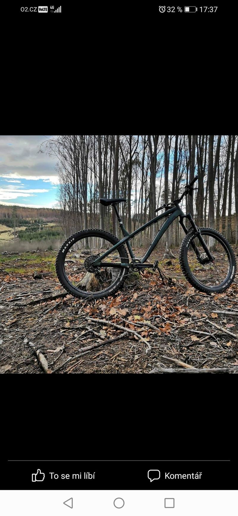 Dartmoor Hornet Pro 2018 (27,5+ 2,8")