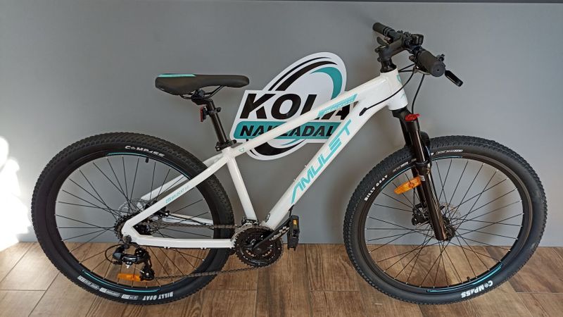 Amulet Wild cat 3.0 2022