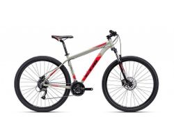 CTM REIN 3.O MODEL 2021