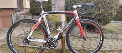 predam pinarello prince