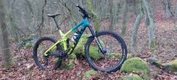 Trek remedy 9.7