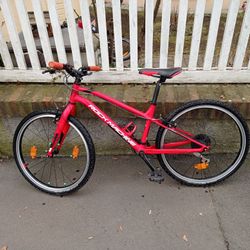 Rock Machine Thunder 24"