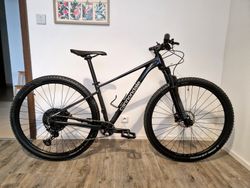 Cannondale Trail 29“ SL 3 (2021), černé, velikost S