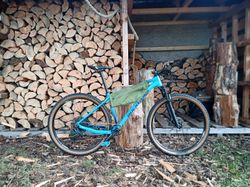ROCKRIDER XC 500 L 2021, GX 1x12, REBA