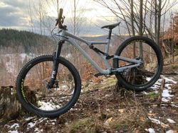 Specialized Stumpjumper Comp Alloy 29