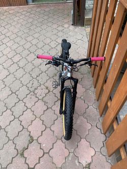 Krásný Early Rider Hellion 20'