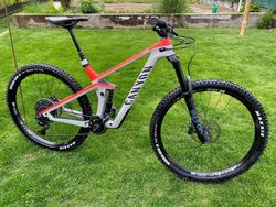 Canyon Strive CF 7.0