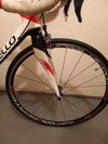 Pinarello - 2013