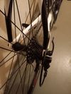 Pinarello - 2013