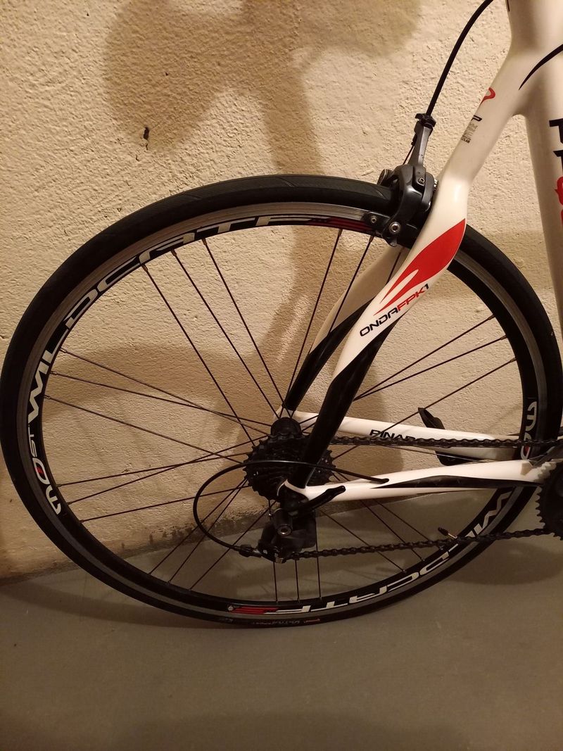 Pinarello - 2013