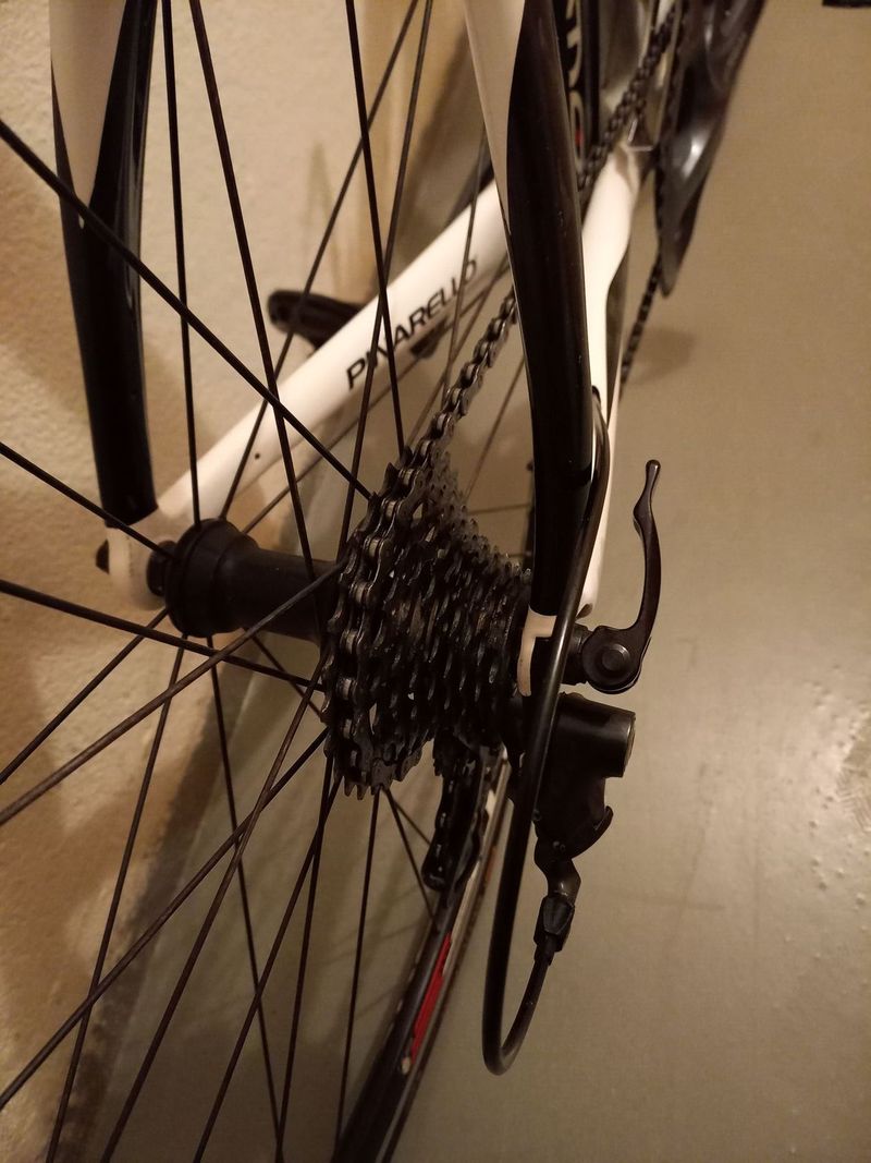 Pinarello - 2013