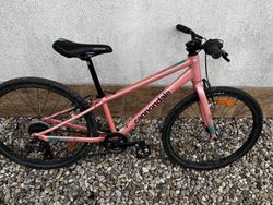 Cannondale velikost 24