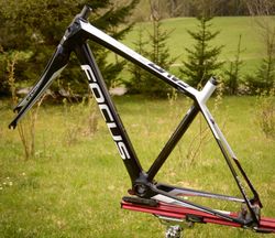 Focus Cayo XS