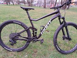 GIANT Stance 29 1 Rosewood