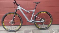 Cannondale Scalpel Carbon Custom 29"