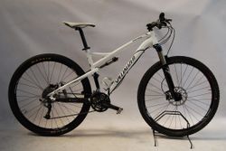 Specialized Epic 29 L