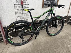 4EVER INEXXIS 29” Carbon