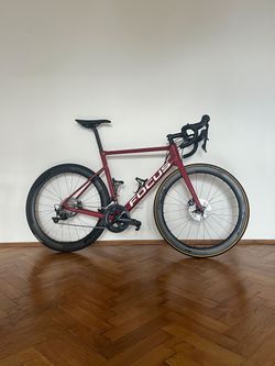 Focus Izalco Max 8.8 2021 - 56
