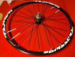 Zapletena 29" MTB, cross, gravel, treking