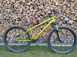 Dirt mtb Specialized p