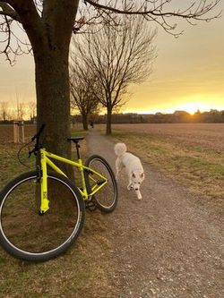 Commencal do města 