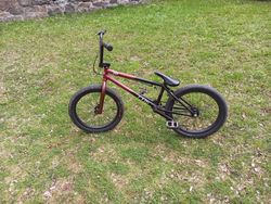 BMX CTM Pop