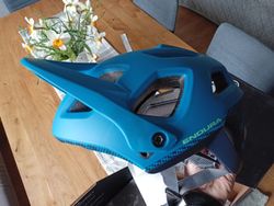 Endura singletrack II