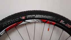 2x Mitas Scylla Tubeless Supra 29x2.25