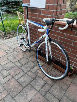 Dráhovka Drag Pista, fixie