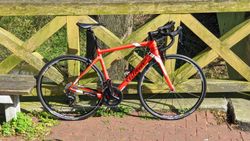 Wilier Triestina GTr Team 2020(karbon) vel. L